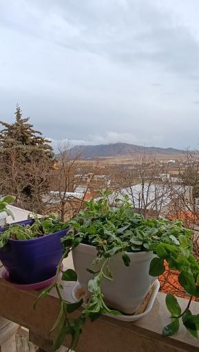 عکس سیدآباد