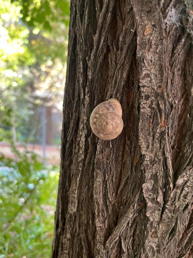 عکس بوستان نهج البلاغه فاز 1