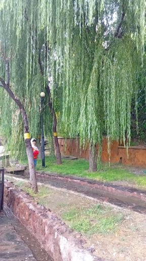 عکس بوستان نهج البلاغه فاز 1