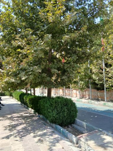 عکس بوستان نهج البلاغه فاز 1