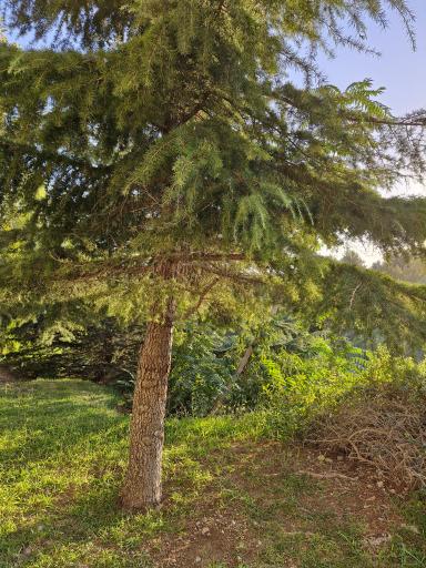 عکس بوستان نهج البلاغه فاز 1