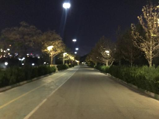 عکس بوستان نهج البلاغه فاز 1