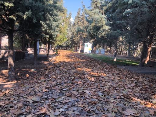 عکس بوستان نهج البلاغه فاز 1