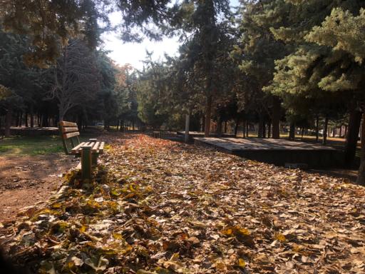 بوستان نهج البلاغه فاز 1