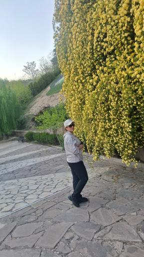 عکس بوستان نهج البلاغه فاز 1