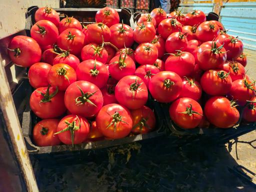 عکس بارفروشی ملکی