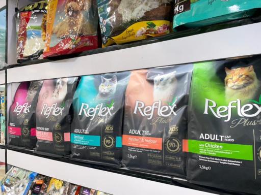 عکس پرنده فروشی مرغ سحر