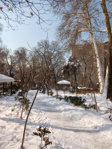 عکس بوستان مهر