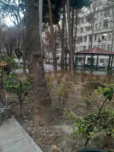 عکس بوستان مهر