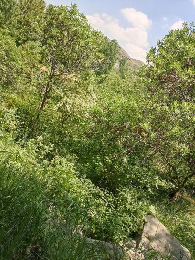 عکس آغچه حصار