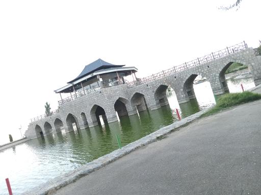 عکس کافه پویا (بام شهرضا)