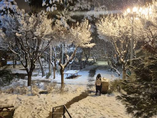 عکس بوستان مهر