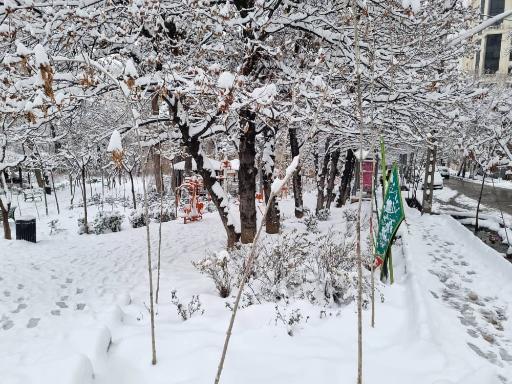 عکس بوستان مهر