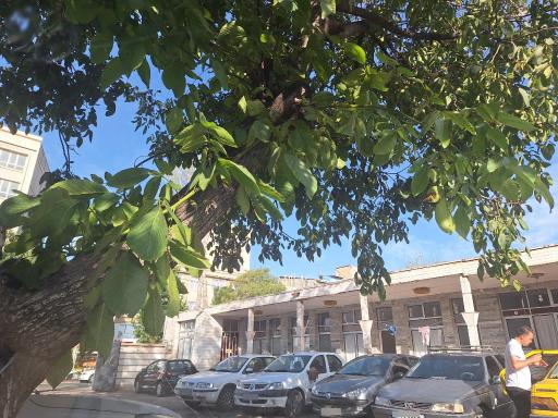 عکس مهمان سرا کسری