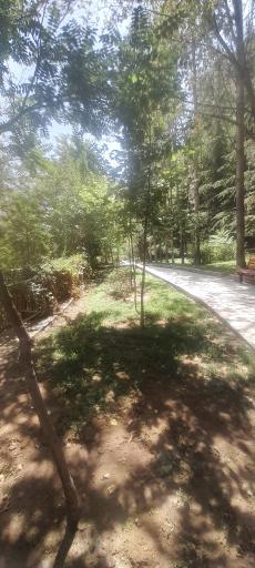 عکس بوستان ساسان