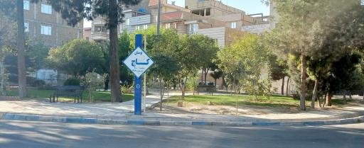 عکس بوستان کاج