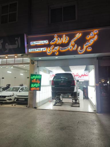 عکس تشخیص رنگ کارشناسی خودرو حسن جدی