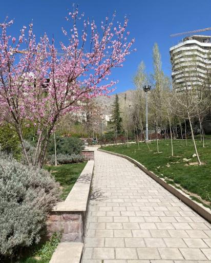 عکس بوستان ساسان