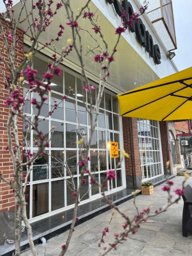 عکس کافه رستوران تی خانه