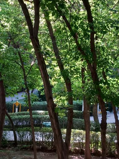 عکس بوستان مهر