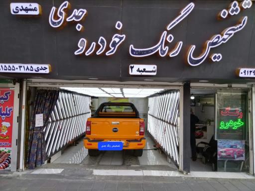 عکس تشخیص رنگ کارشناسی خودرو حسن جدی