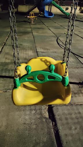 عکس بوستان گل‌های نرگس