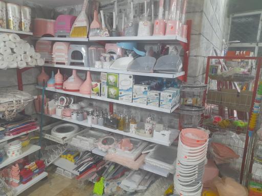 عکس پلاسکو محمدیان