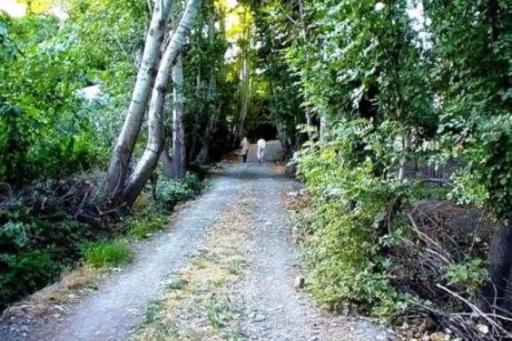 عکس پارک جنگلی طبیعت پردیس شاندیز