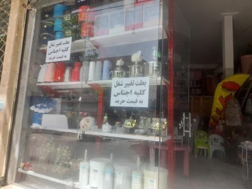 عکس پلاسکو محمدیان