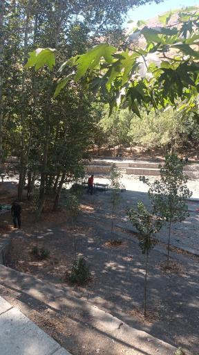 عکس پارک جنگلی طبیعت پردیس شاندیز