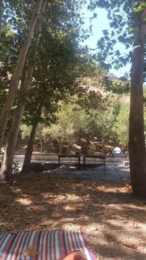 عکس پارک جنگلی طبیعت پردیس شاندیز