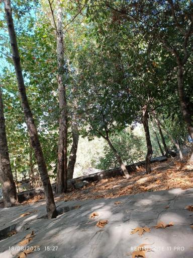 عکس پارک جنگلی طبیعت پردیس شاندیز