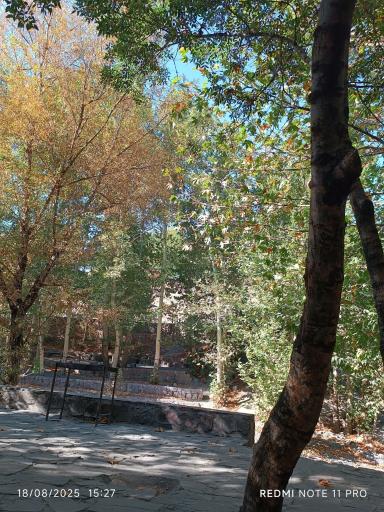 عکس پارک جنگلی طبیعت پردیس شاندیز