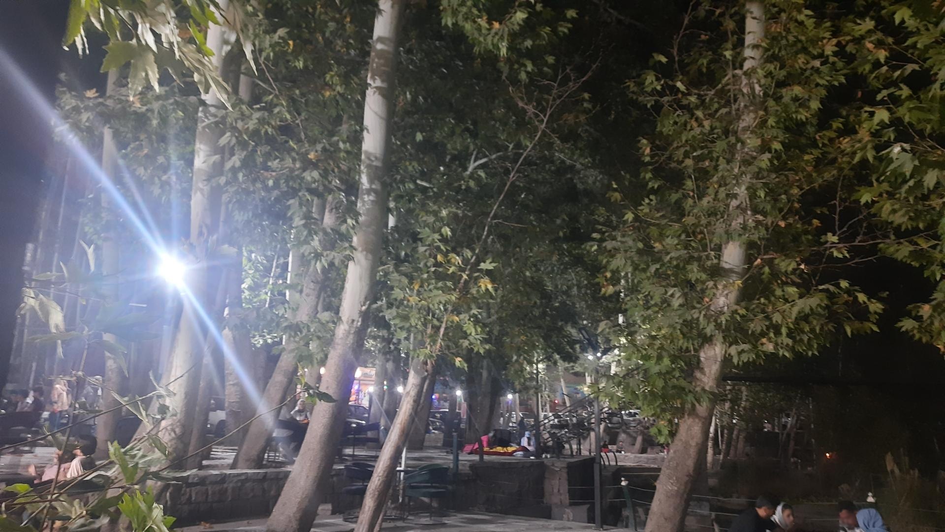 عکس پارک جنگلی طبیعت پردیس شاندیز