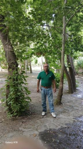 عکس پارک جنگلی طبیعت پردیس شاندیز