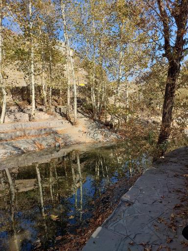 عکس پارک جنگلی طبیعت پردیس شاندیز