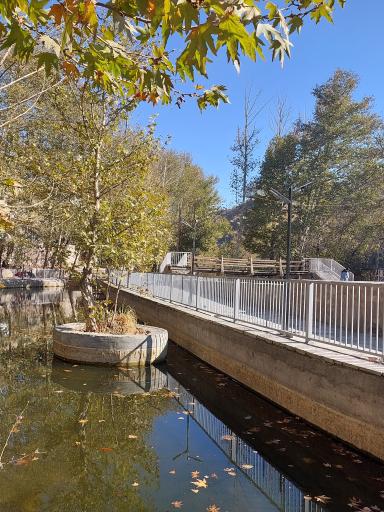 عکس پارک جنگلی طبیعت پردیس شاندیز