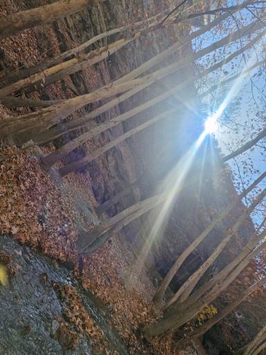 عکس پارک جنگلی طبیعت پردیس شاندیز