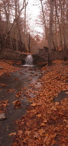 عکس پارک جنگلی طبیعت پردیس شاندیز