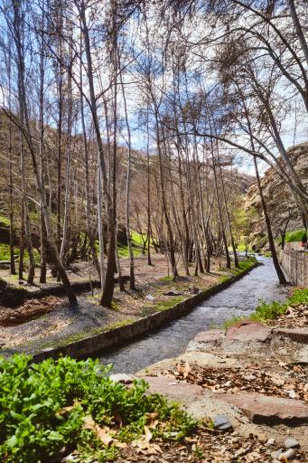 عکس پارک جنگلی طبیعت پردیس شاندیز
