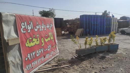 عکس صنایع چوب و پالت قاسمی