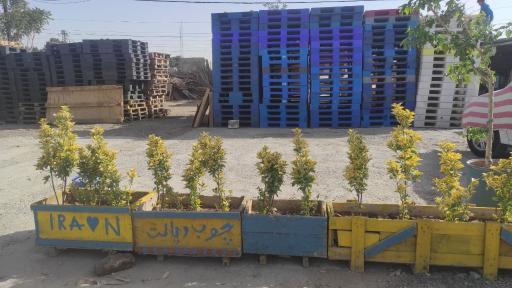 عکس صنایع چوب و پالت قاسمی