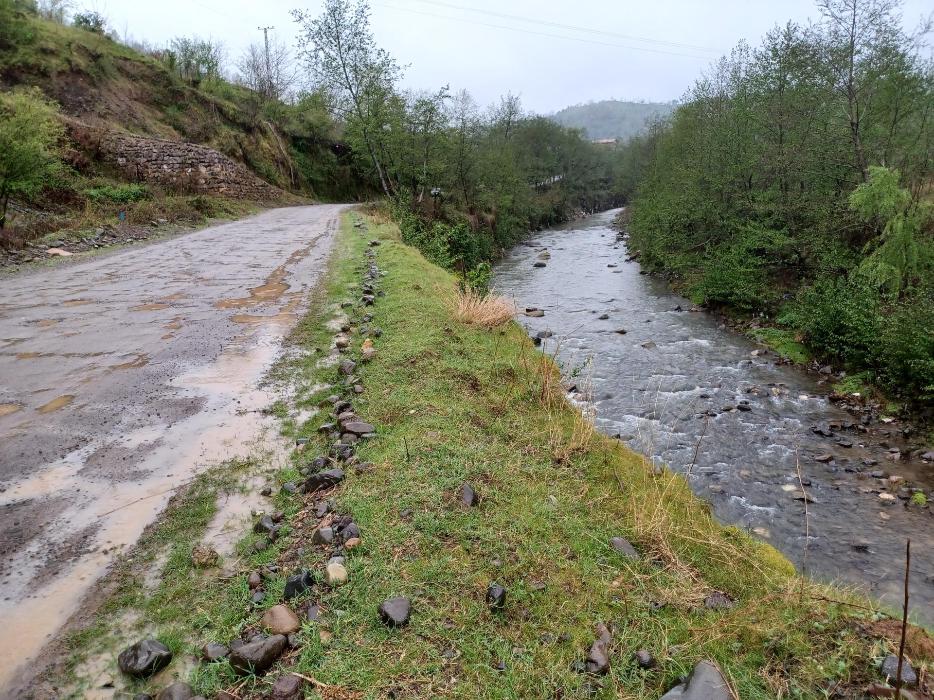 عکس گودرزگان