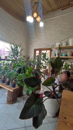 عکس کافه گل فلور