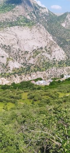 عکس گازه
