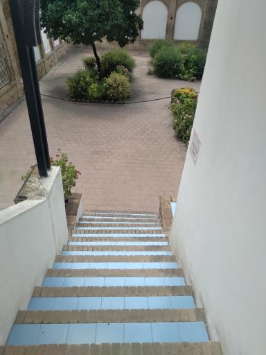 عکس موزه تاریخ شهر ساری