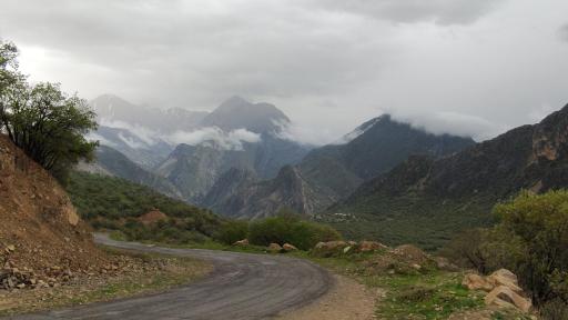 گازه