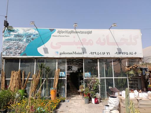 عکس گلخانه معینی