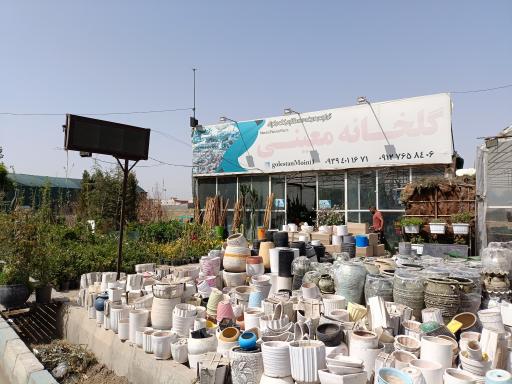 عکس گلخانه معینی