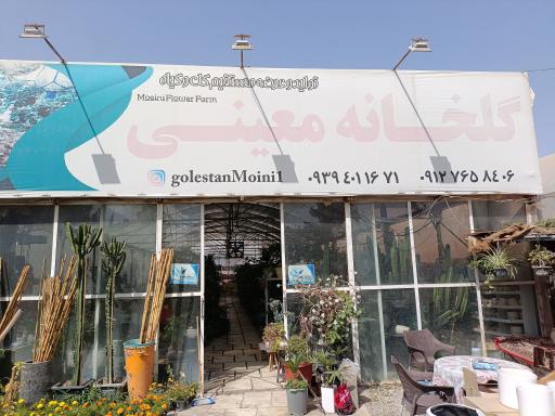 عکس گلخانه معینی